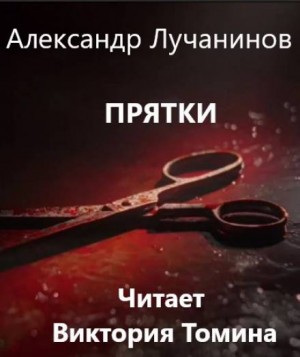 Прятки – аудиокнига