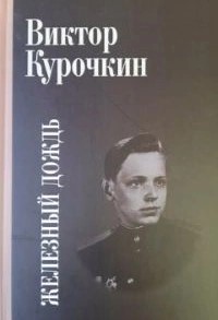 Железный дождь – аудиокнига