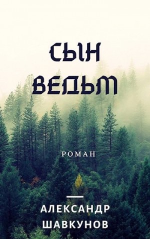 Последствия. Сын Ведьм – аудиокнига