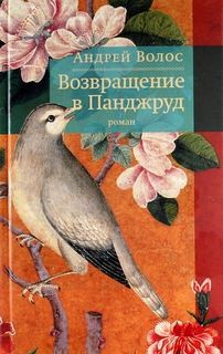 Возвращение в Панджруд – аудиокнига
