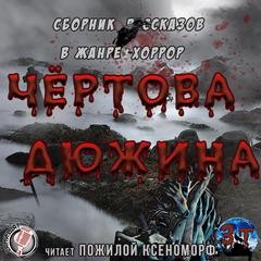 Чертова дюжина (Сборник)