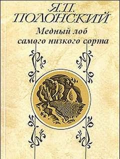 Медный лоб самого низкого сорта – аудиокнига