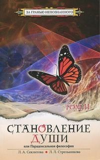 Становление души или парадоксальная философия. Том 2 – аудиокнига