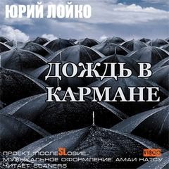 Дождь в кармане – аудиокнига