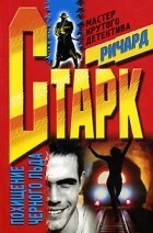 Похищение черного льда – аудиокнига