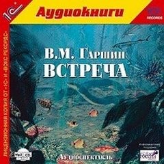 Встреча – аудиокнига