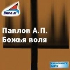 Божья воля – аудиокнига