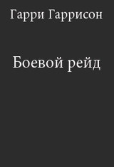 Боевой рейд – аудиокнига