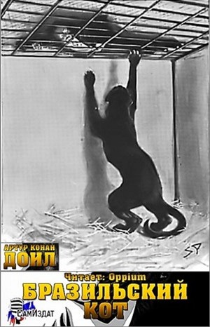 Бразильский кот – аудиокнига