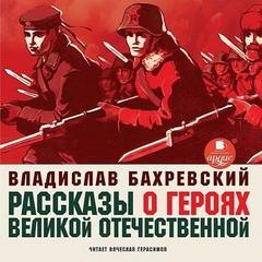 Рассказы о героях Великой Отечественной – аудиокнига