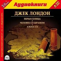 Перья солнца, Человек со шрамом, Алоха Оэ – аудиокнига