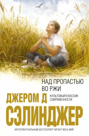 Над пропастью во ржи – аудиокнига