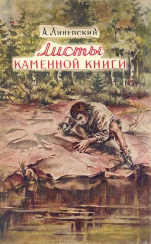 Листы каменной книги – аудиокнига