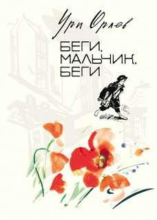 Беги, мальчик, беги – аудиокнига