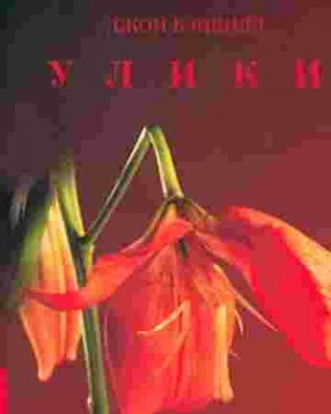 Улики – аудиокнига