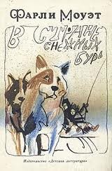 В стране снежных бурь – аудиокнига