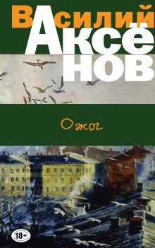 Ожог – аудиокнига