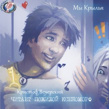 Мы Крылья – аудиокнига