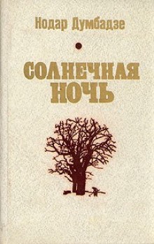 Солнечная ночь – аудиокнига