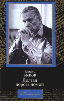 Долгая дорога домой – аудиокнига
