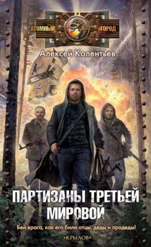 Партизаны третьей мировой – аудиокнига