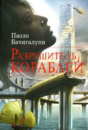 Разрушитель кораблей – аудиокнига