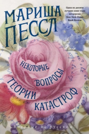 Некоторые вопросы теории катастроф – аудиокнига