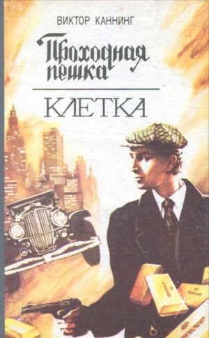 Проходная пешка – аудиокнига