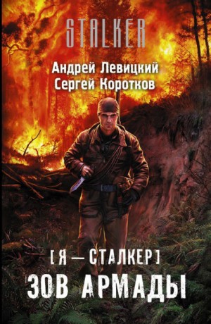 Я – сталкер 12; Стражи Армады 1: Зов Армады – аудиокнига