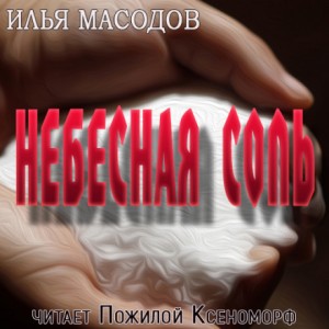 Небесная соль – аудиокнига