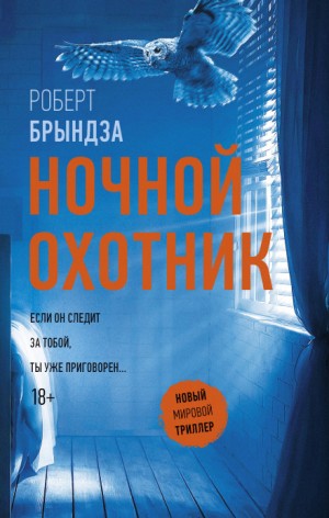 Ночной охотник – аудиокнига