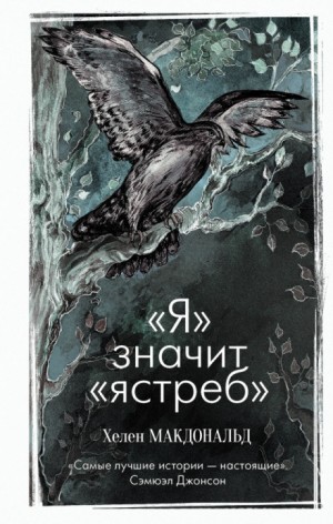 «Я» значит «Ястреб» – аудиокнига