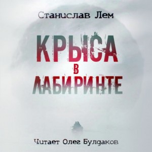 Крыса в лабиринте – аудиокнига