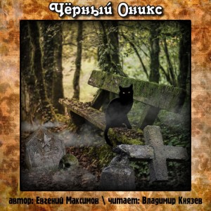 Чёрный Оникс – аудиокнига