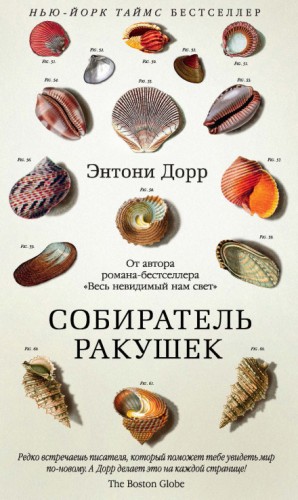 Собиратель ракушек – аудиокнига