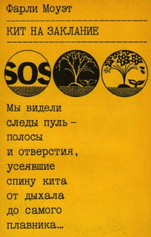 Кит на заклание – аудиокнига