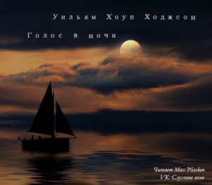 Голос в ночи – аудиокнига