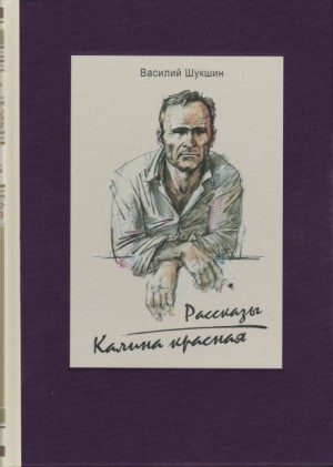 Бессовестные – аудиокнига