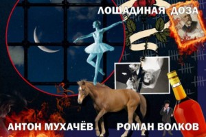 Лошадиная доза – аудиокнига