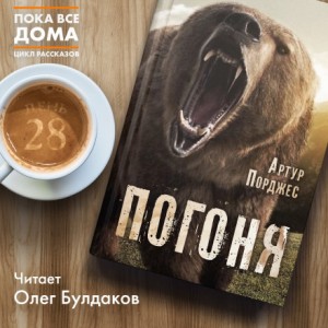 Погоня – аудиокнига