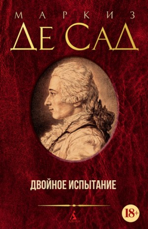 Двойное испытание – аудиокнига