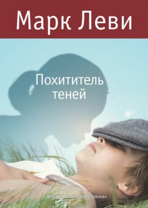 Похититель теней – аудиокнига