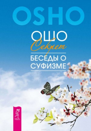 Мудрость песков – беседы о суфизме