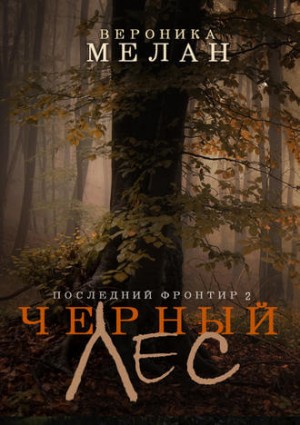 Последний Фронтир: Чёрный Лес – аудиокнига