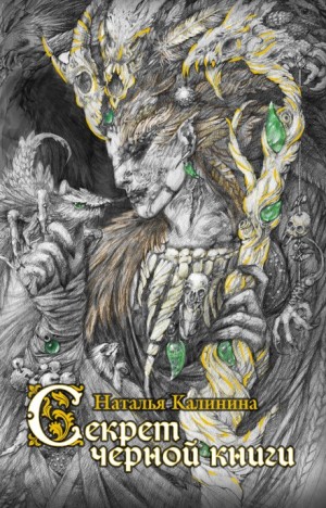Секрет чёрной книги