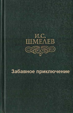 Забавное приключение – аудиокнига