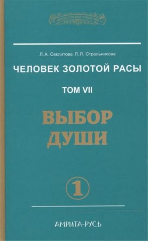Выбор души – аудиокнига