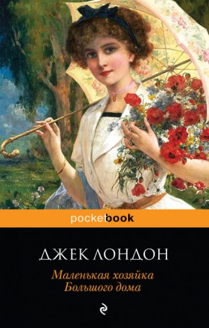 Маленькая хозяйка большого дома – аудиокнига