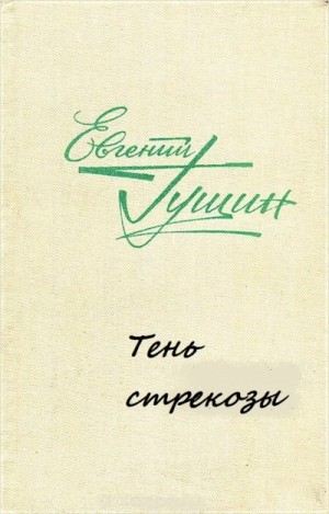 Тень стрекозы – аудиокнига