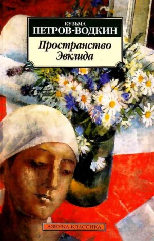 Пространство Эвклида – аудиокнига